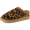 Brown Cheetah