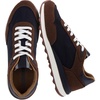 Brown/Black