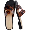 Tortoise Brown